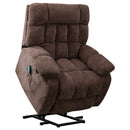 Electric Lift Recliner with Heat Therapy and Massage